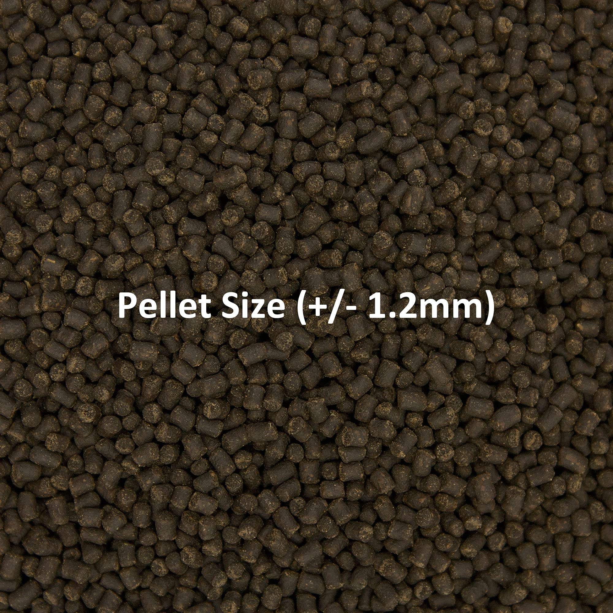 Ocean Nutrition Formula Two Pellets keep water clear without clouding the tank