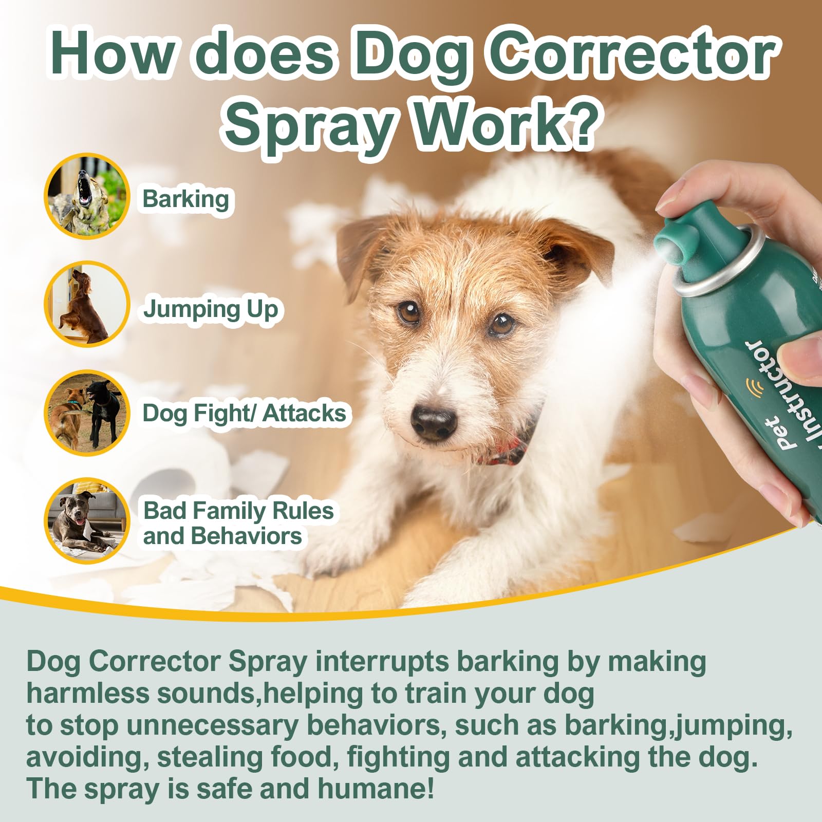 OCKCE Dog Corrector safe use guidance for adult dogs and humane training