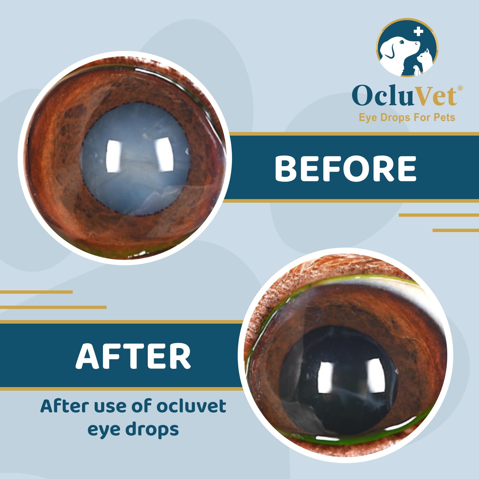 OcluVet Eye Drops clinical study badge indicating veterinary-backed antioxidants.