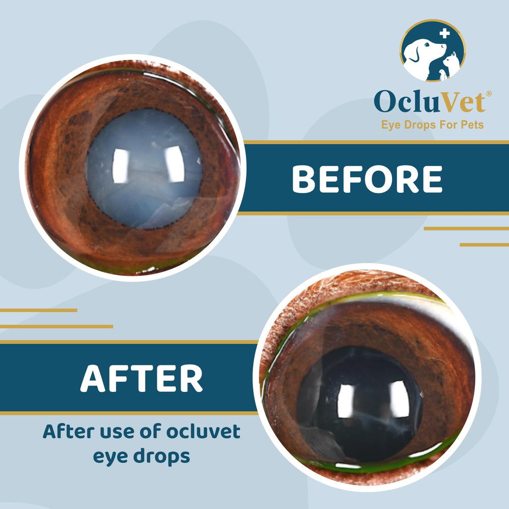 OcluVet Eye Drops clinical study badge indicating veterinary-backed antioxidants.