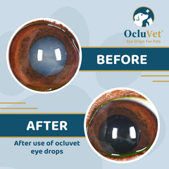 OcluVet Eye Drops clinical study badge indicating veterinary-backed antioxidants.