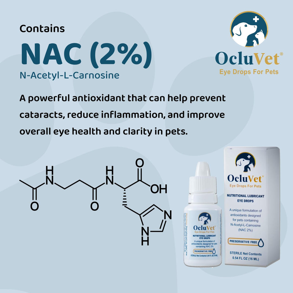 OcluVet Eye Drops droplet near the eye, easy to administer for pet comfort.