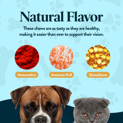 OcluVet Vision Chews chicken liver flavor highlighting palatable eye care