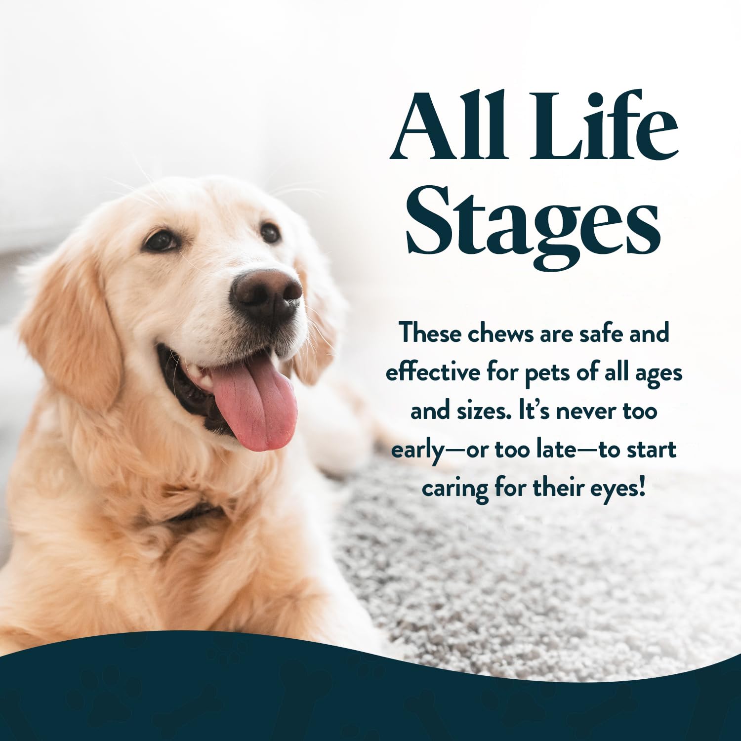 OcluVet Vision Chews label close-up showing omega-3 and lutein ingredients