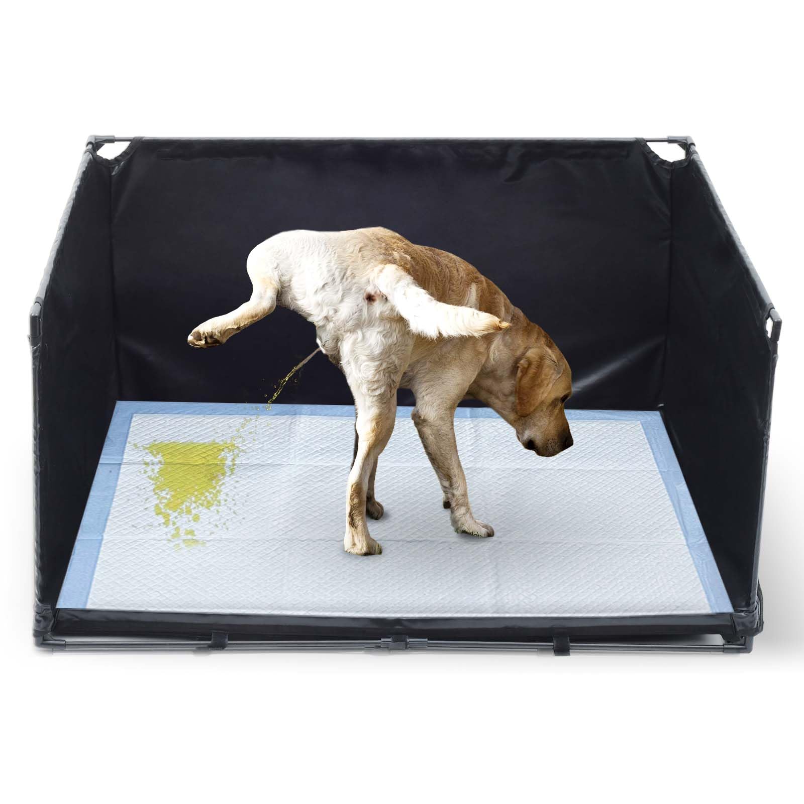 OCMML dog litter box indoor large setup showing spacious area for medium dogs