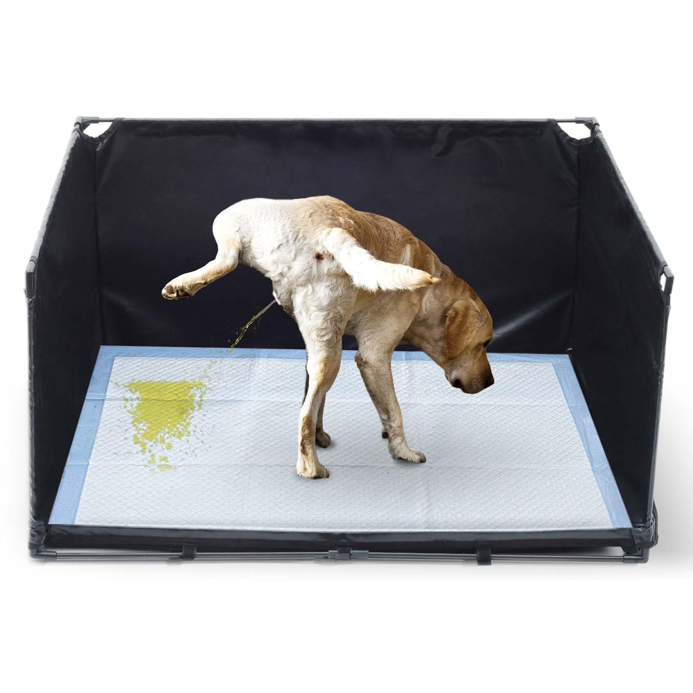 OCMML dog litter box indoor large setup showing spacious area for medium dogs