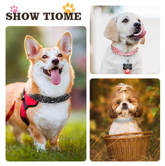 OCTBERSIEG soft microfiber leather collar strap emphasizes comfort during daily walks.