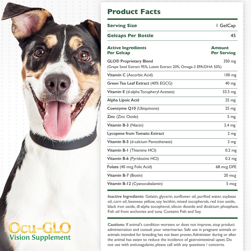 Ocu-GLO being mixed into wet dog food for easy dosing.