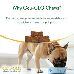 Ocu-GLO dog and cat using the supplement during routine care