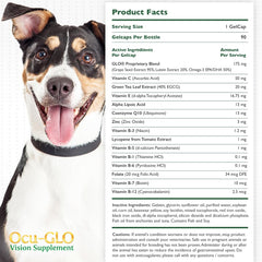 Dog eating wet food with Ocu-GLO mixed in for convenience