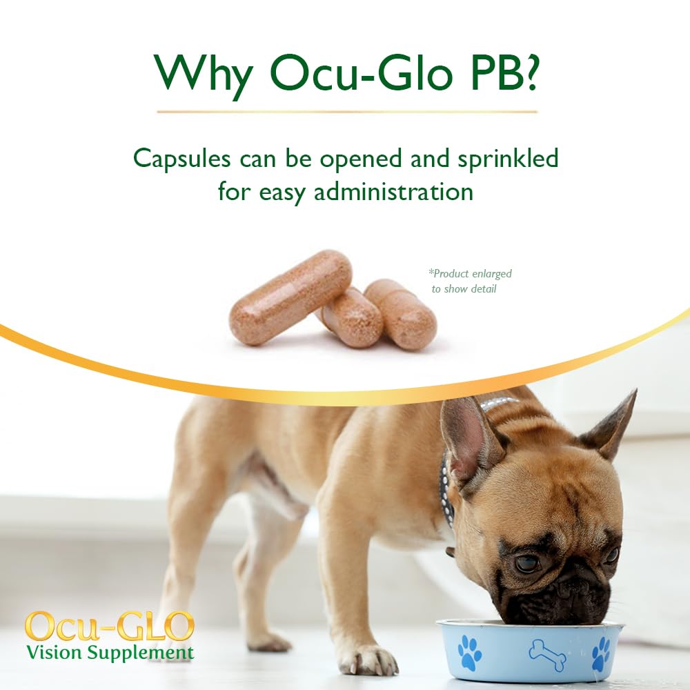 Ocu-GLO PB pet eye-health visual demonstrates product purpose for supporting clear vision during play.