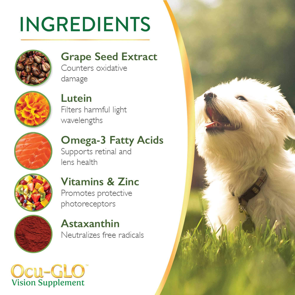 Ocu-GLO PB Vision powder being mixed into dog meal for steady daily intake