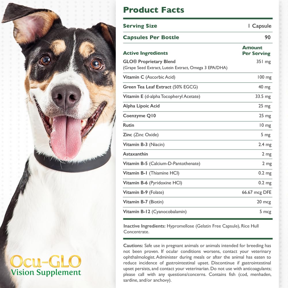 Ocu-GLO PB vision powder dispense shows easy dosing at mealtime for dogs