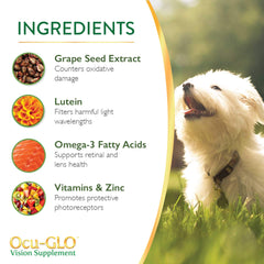 Ocu-GLO serving with dog food – easy mixing into meals for eye support.