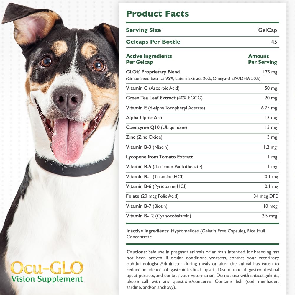 Ocu-GLO dosing action – snip-open capsule to add to wet food.