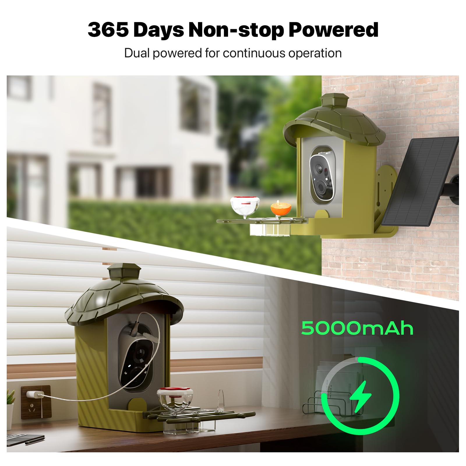 oddkont Smart Bird Feeder arrival alerts for instant notifications