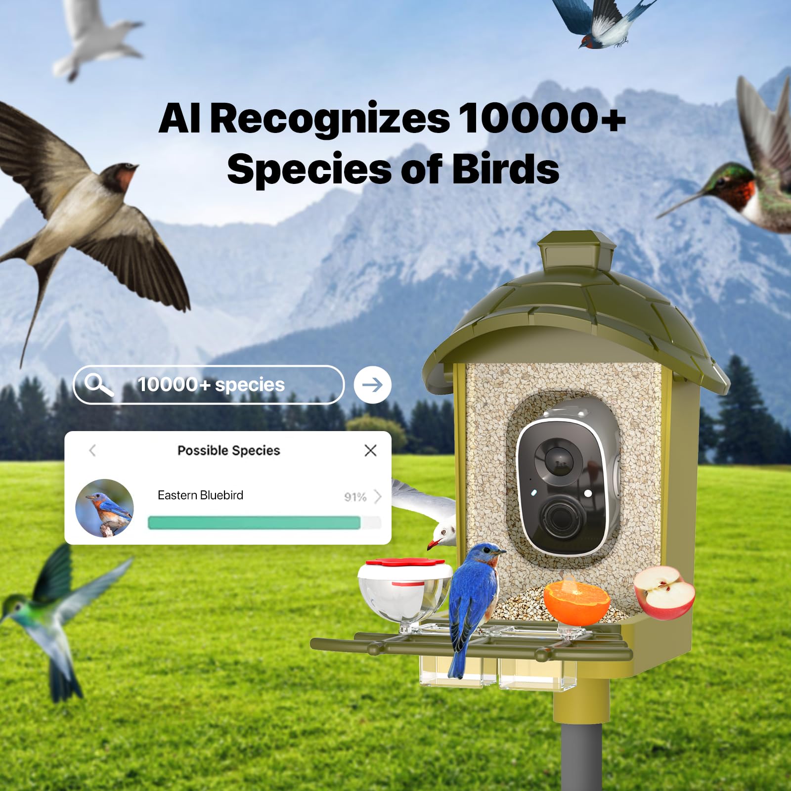 oddkont Smart Bird Feeder camera at night vision for nocturnal visitors
