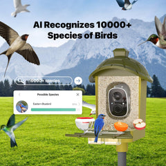 oddkont Smart Bird Feeder camera at night vision for nocturnal visitors