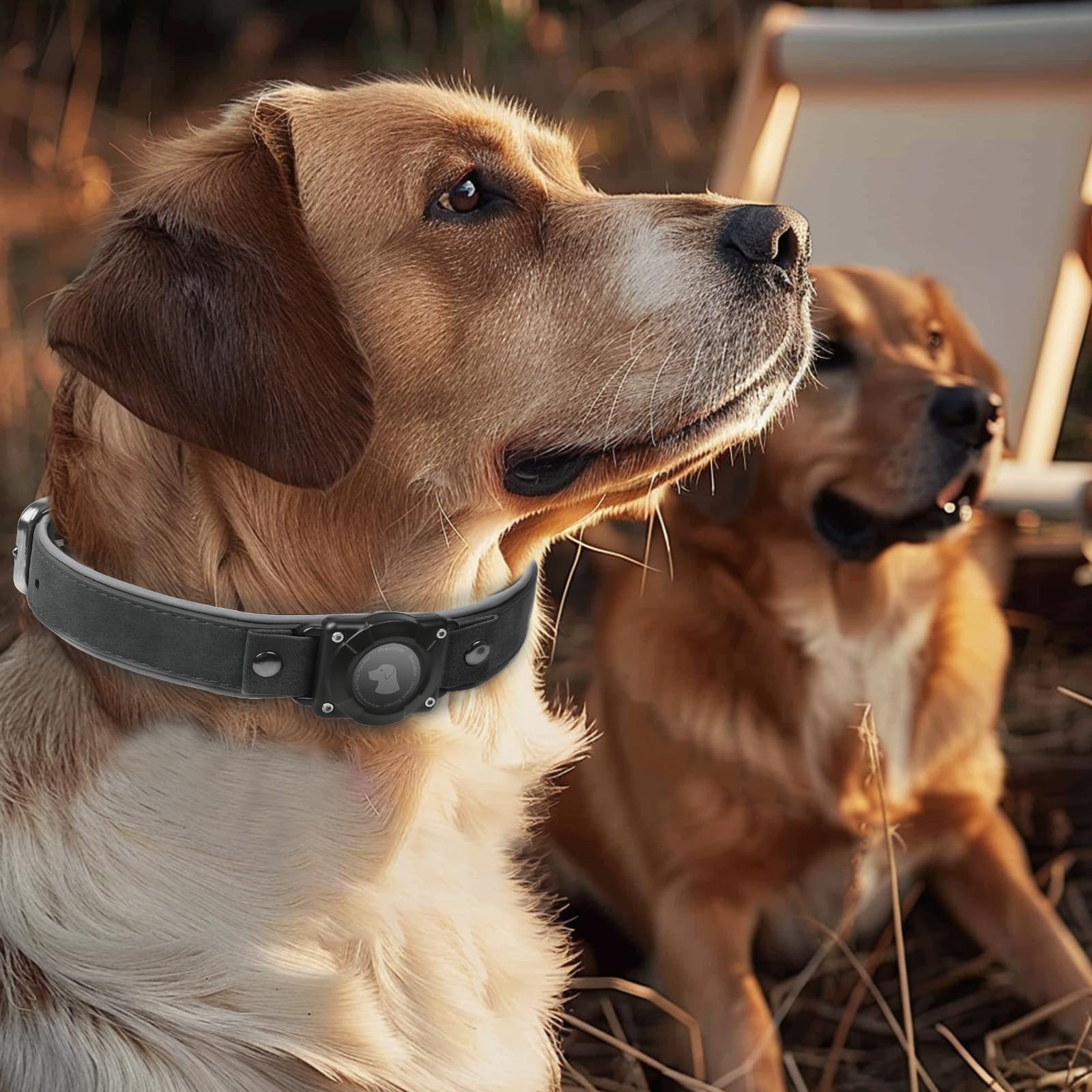 Odokele AirTag dog collar built for daily life and active play with reliable tracking.