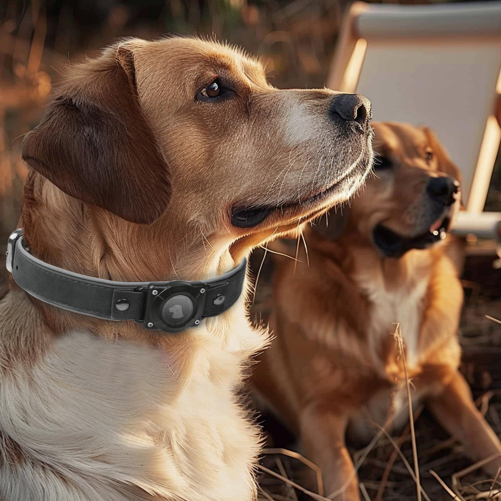 Odokele AirTag dog collar built for daily life and active play with reliable tracking.