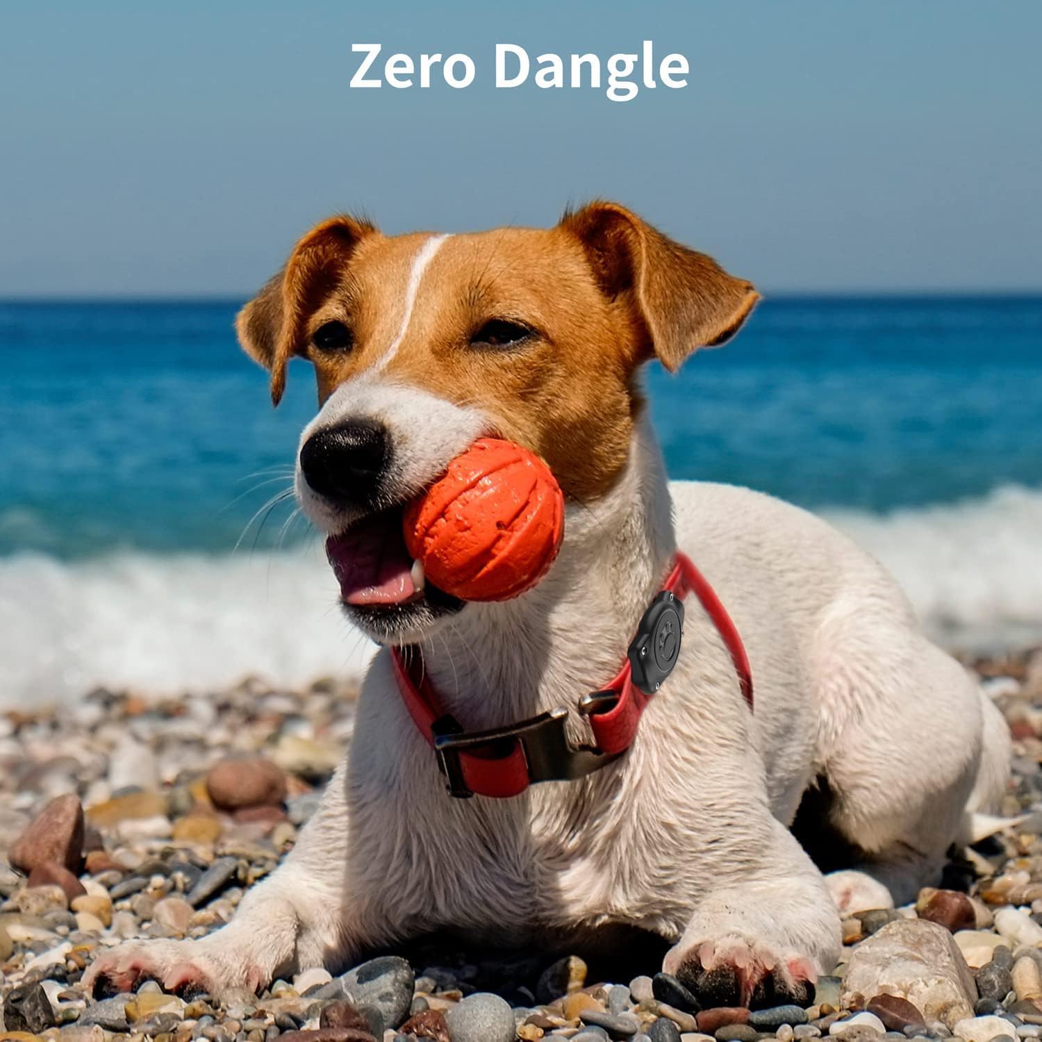 Odokele AirTag dog collar holder made from durable hard plastic for daily use.