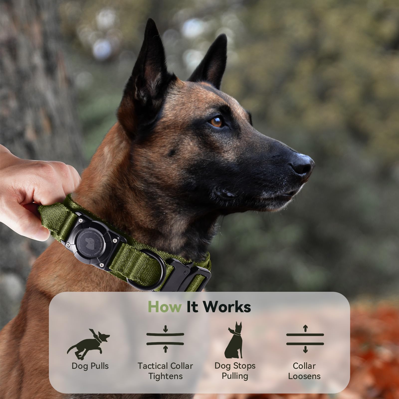 Odokele AirTag collar neck view demonstrates fit on medium-to-large dogs during adventures.