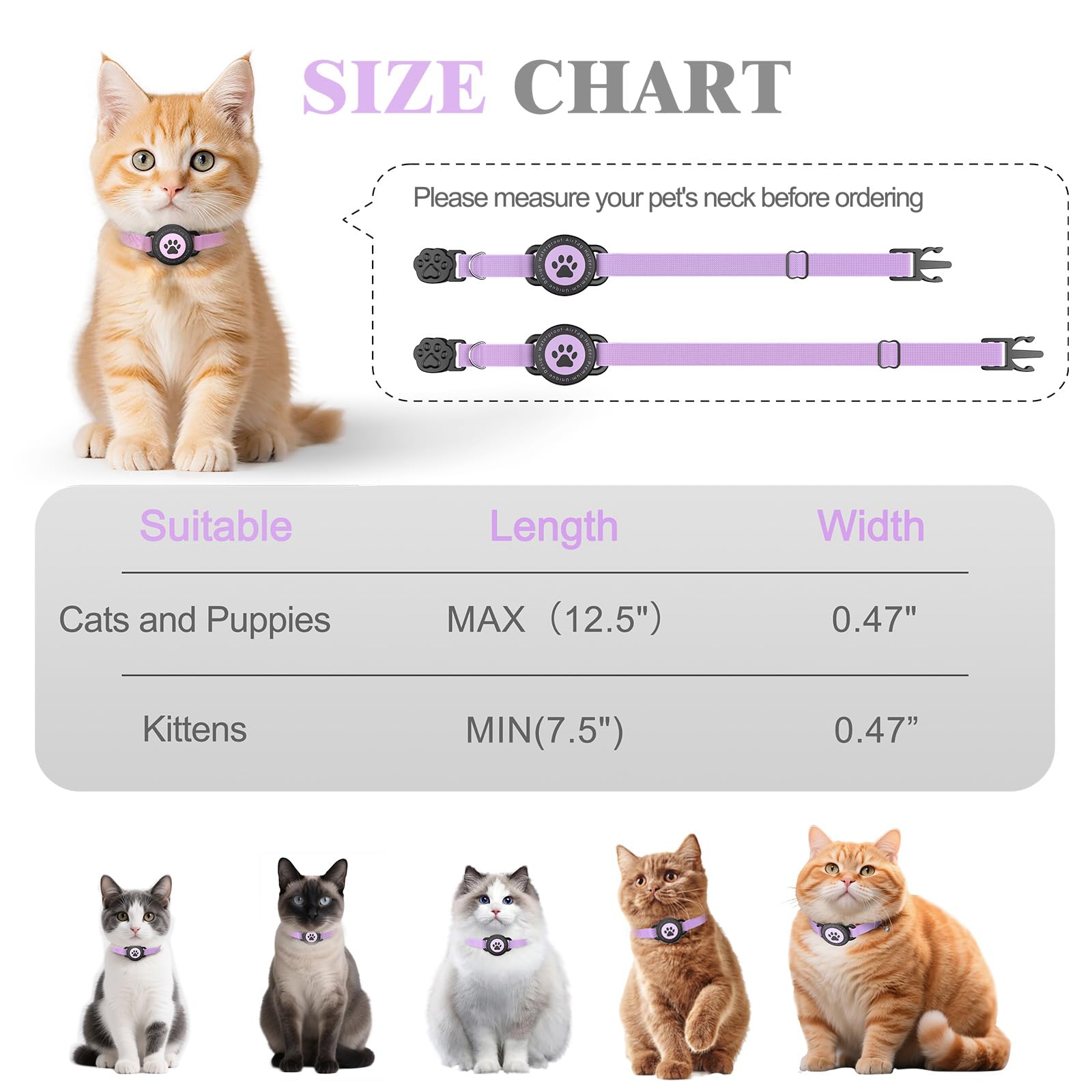 Odokele purple-cat-collar adds visible style and safety for indoor-outdoor cats.