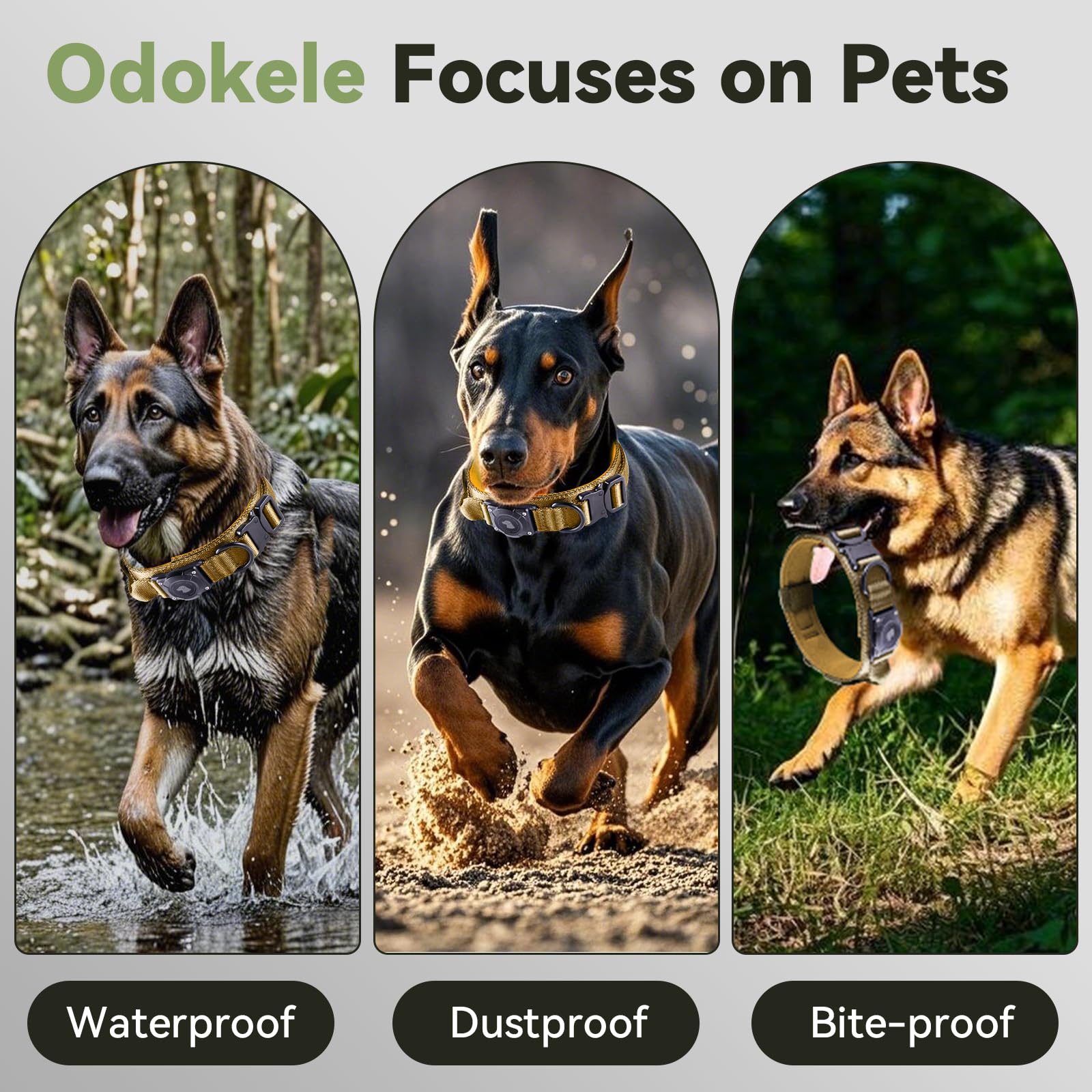 Odokele robust metal buckle collar built for active dogs