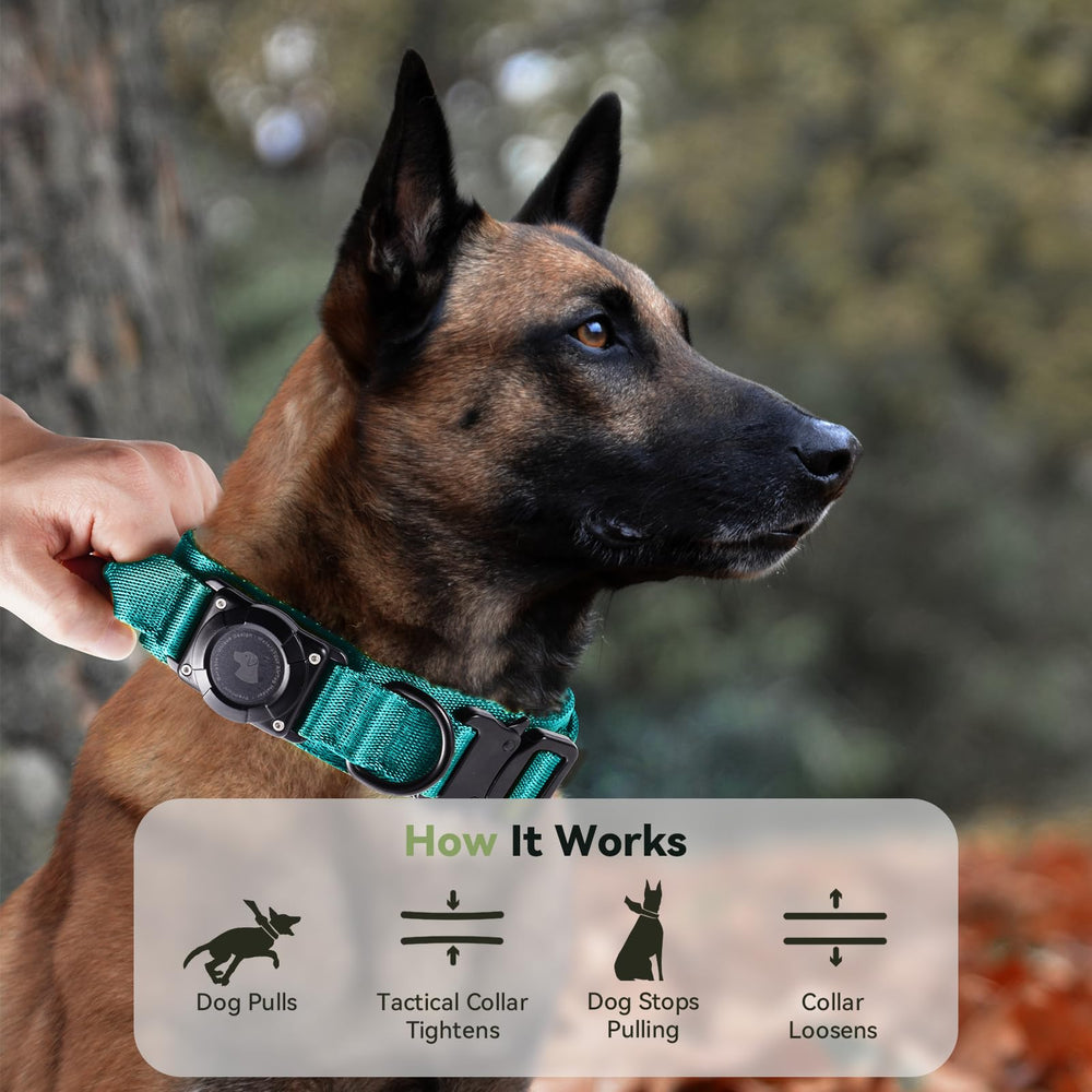 Odokele size chart for M-L-XL showing fit for medium to large dogs