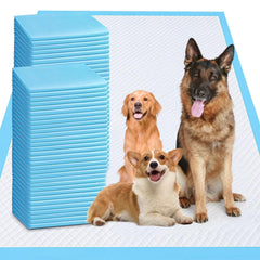 Odorless XXXXL Puppy Pad front view shows large coverage for training.
