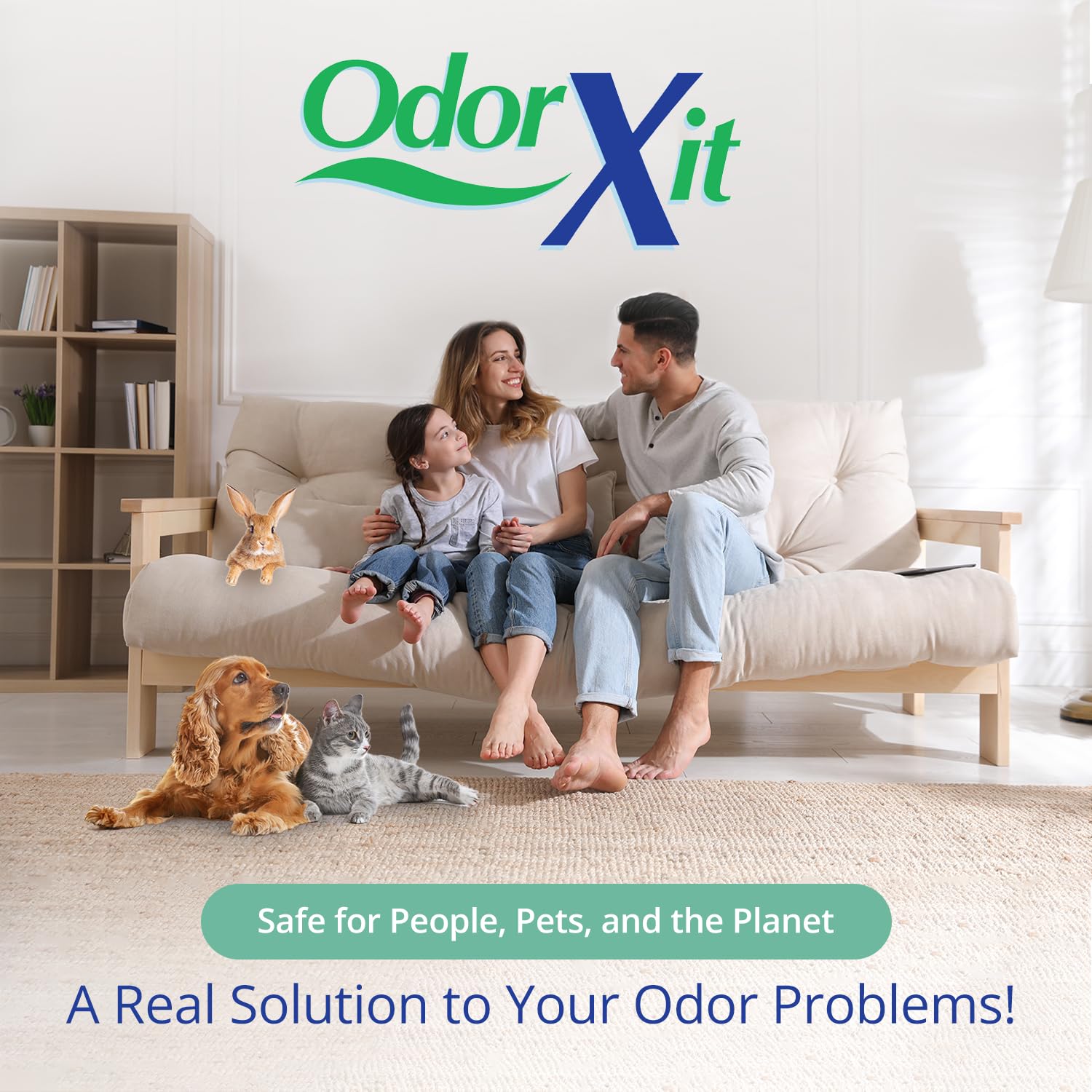 OdorXit indoor-outdoor usage demonstrates versatile surface care