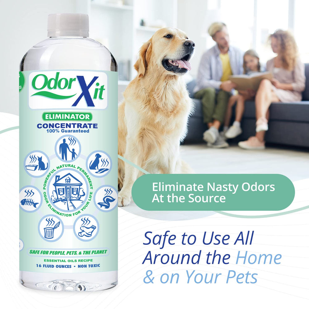 OdorXit application on carpet targets urine odors with natural ingredients.