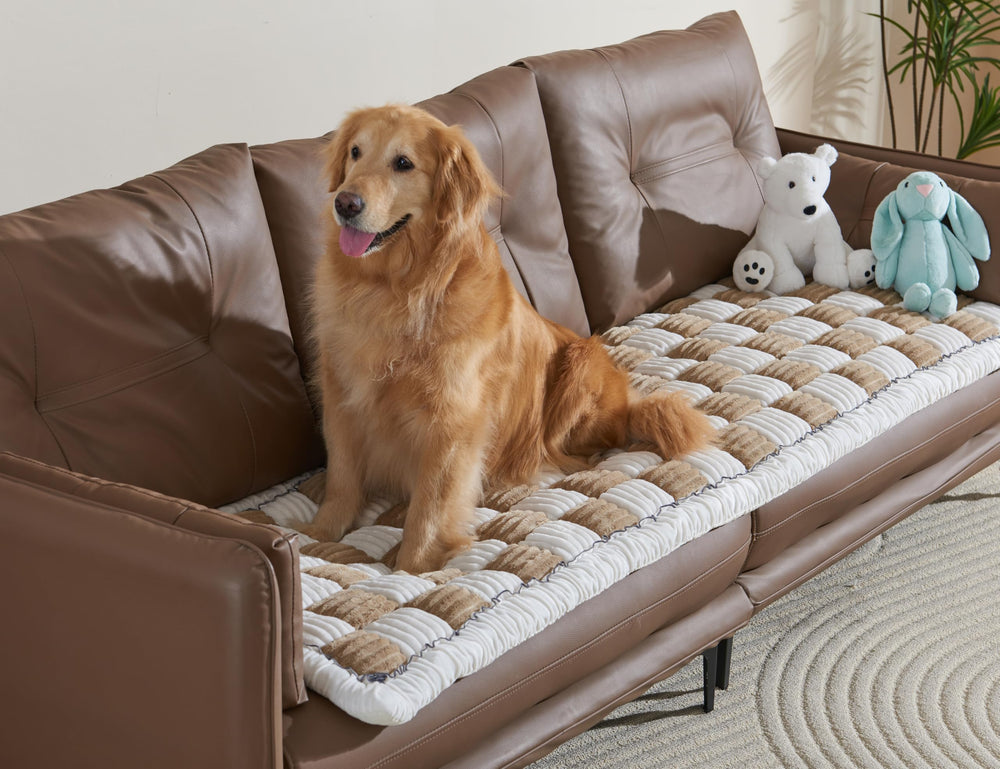 ODreamyDogs Machine-Wash Friendly design simplifies freshening up after fun.