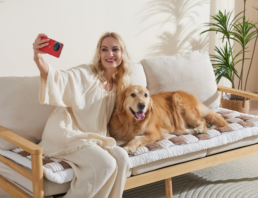 ODreamyDogs Size Guide ensures a snug fit for sofas, chairs, or sectionals.