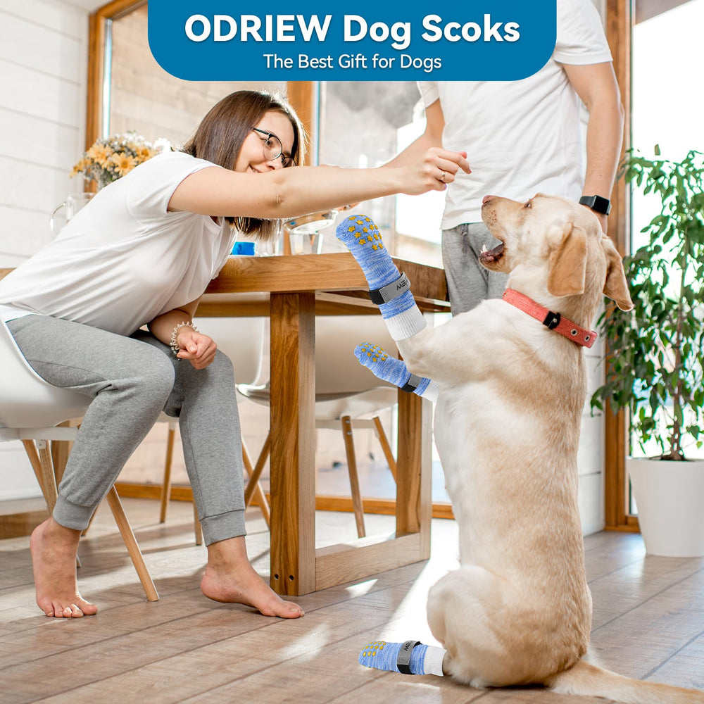 ODRIEW dog socks protecting floors and furniture indoors.