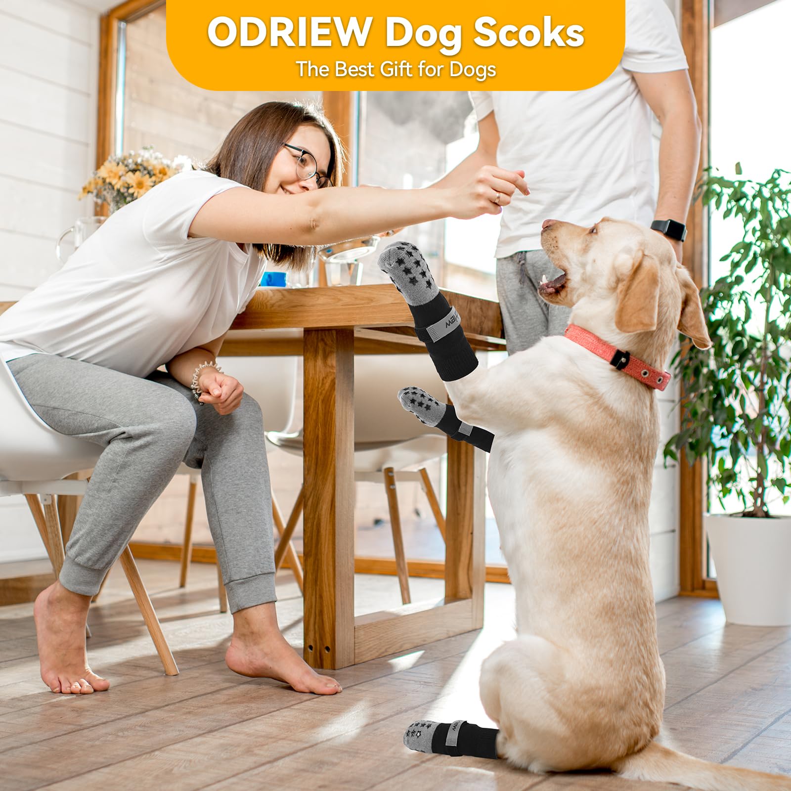 ODRIEW size chart image showing paw width guidance for fit