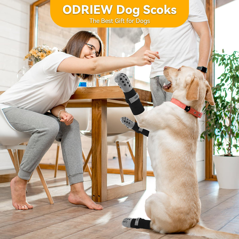 ODRIEW size chart image showing paw width guidance for fit