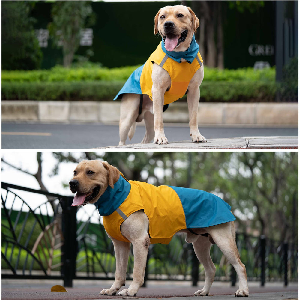 ODSSDAPU chaqueta para perro, uso en exteriores para caminatas y aventuras.