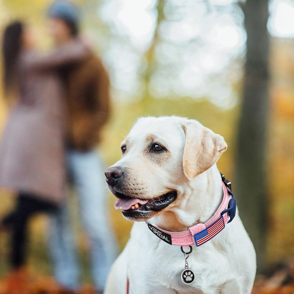 OEBEESA tactical dog collar Airtag case protects the tracker during outings
