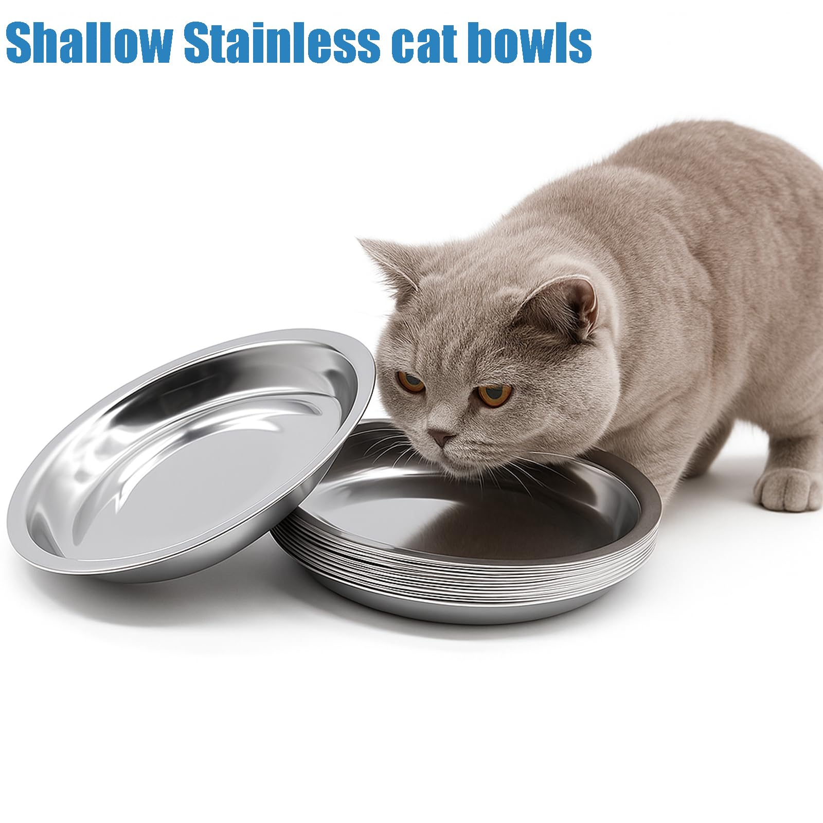 Ofanim 8pcs bowls shallow wide design supports comfortable eating and easy cleaning