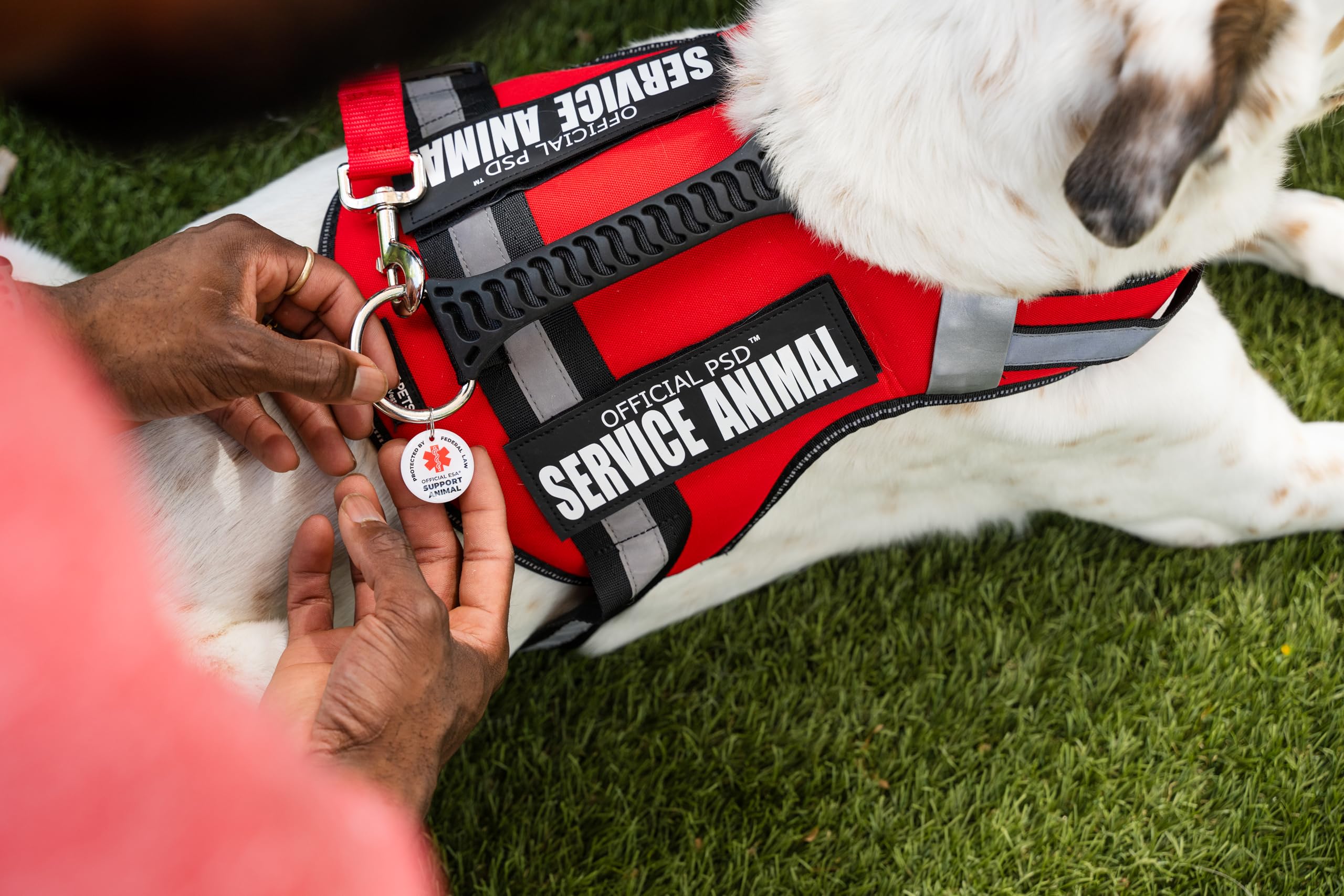 Official ESA Support Pets harness with adjustable belly strap for secure fit.