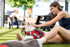 Official ESA Support Pets harness with a sturdy D-ring for leashing.