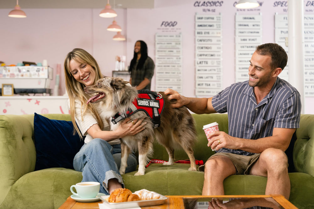 Official ESA Support Pets harness designed for comfortable daily wear.