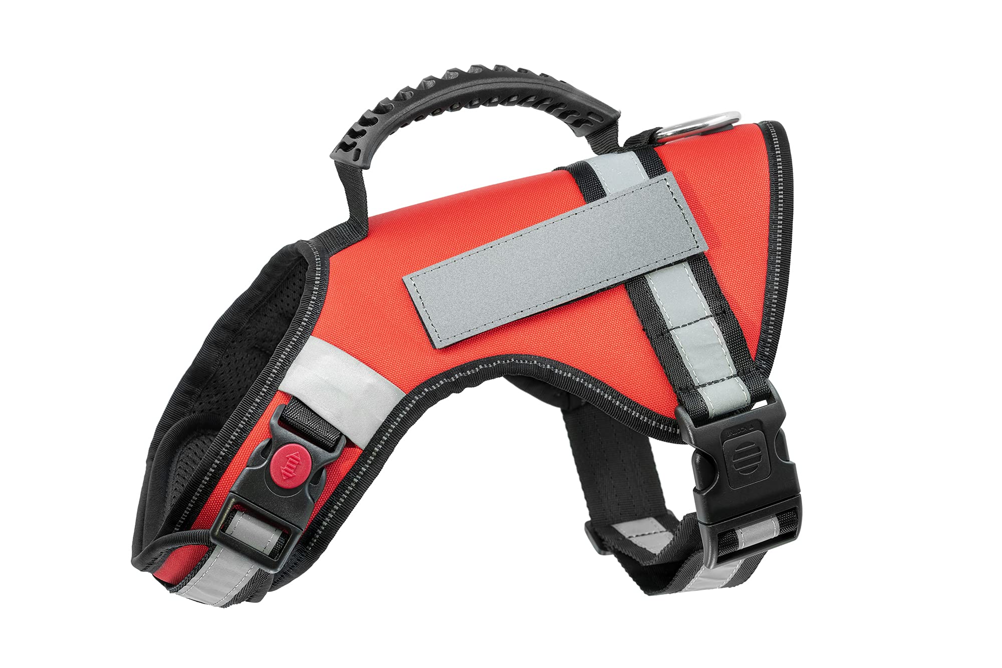 Official ESA Support Pets harness aids confidence during training.