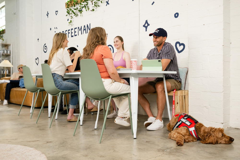 Official ESA Support Pets XXSmall harness reflective strips boost night visibility