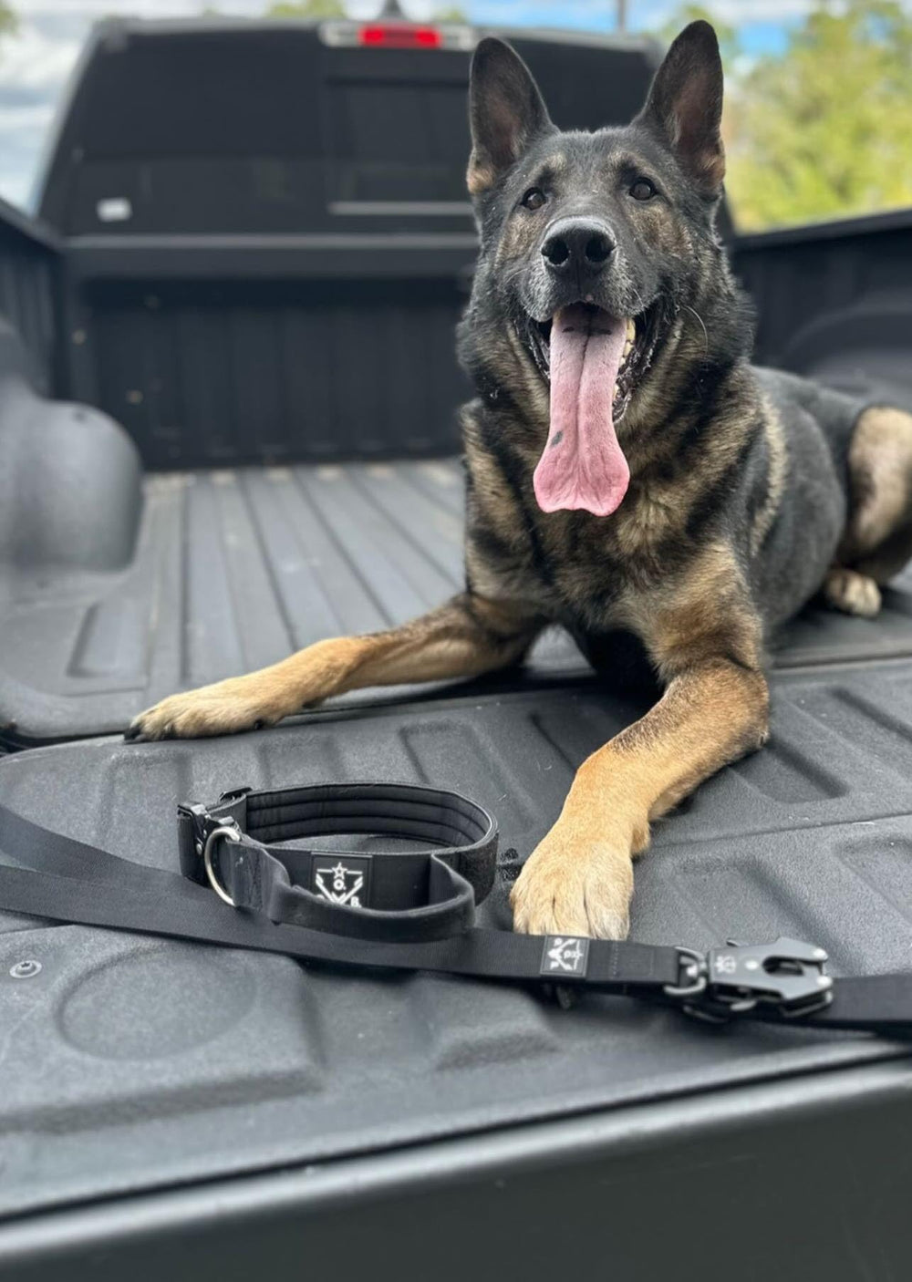 O.G.B green tactical leash showcasing versatile color for active dogs.