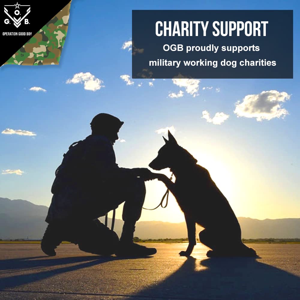 O.G.B. grenade dog toy gift-ready packaging for gifting to dog lovers.