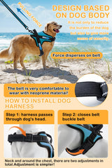 OGURIYA dog harness reflective strip for safe evening strolls.