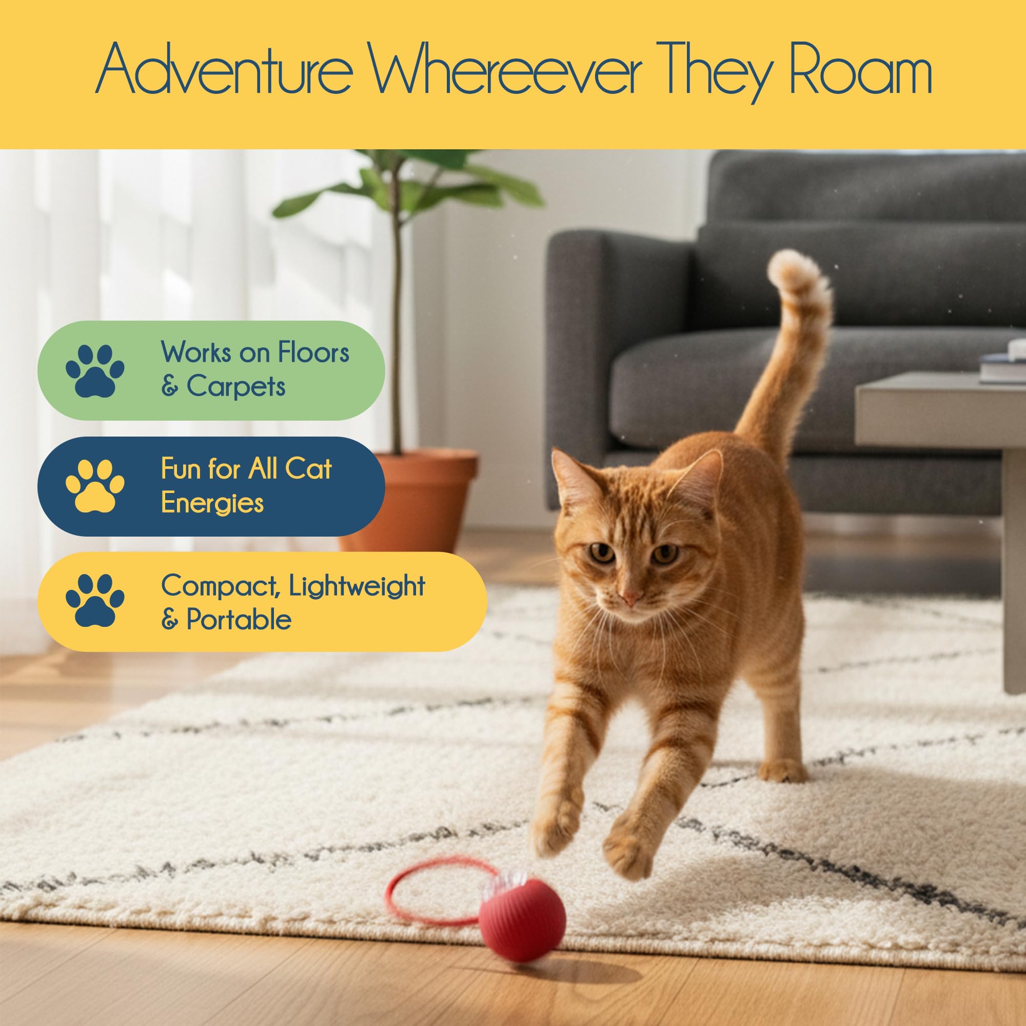 Oh My Cat! enrichment accessories illustrate versatile options for interactive play.
