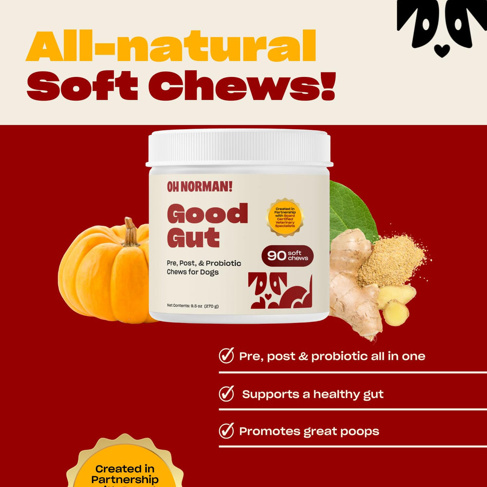 OH NORMAN! probiotic chews taste showcases pumpkin-cinnamon flavor appeal